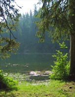 Цель прогулки - Змийное озеро
